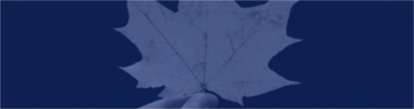 Down Round (Decline in Valuation) | Startup Basics banner