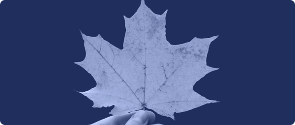 Down Round (Decline in Valuation) | Startup Basics