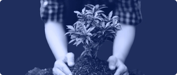 Series C Funding (Hypergrowth & Pre-IPO) | Startup Basics