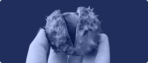 Seed Round (Early Traction Stage) | Startup Basics